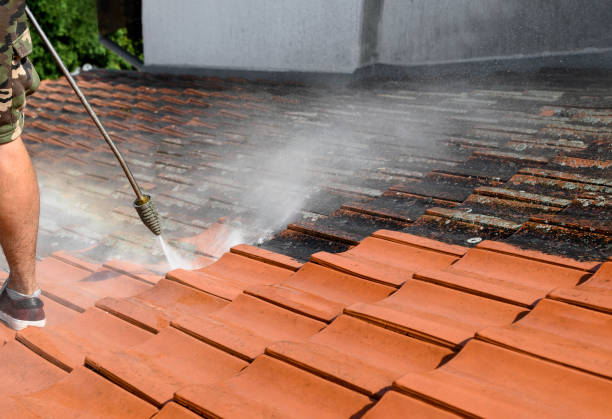 Best Pressure Washing Driveway  in La Habra, CA