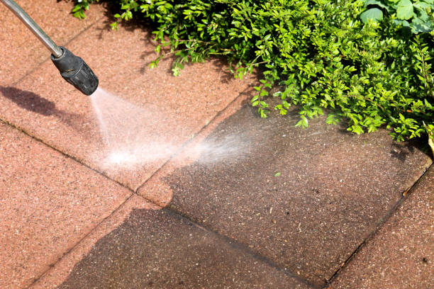 Best Local Pressure Washing Services  in La Habra, CA